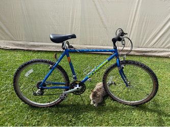 Schwinn 21 speed bike