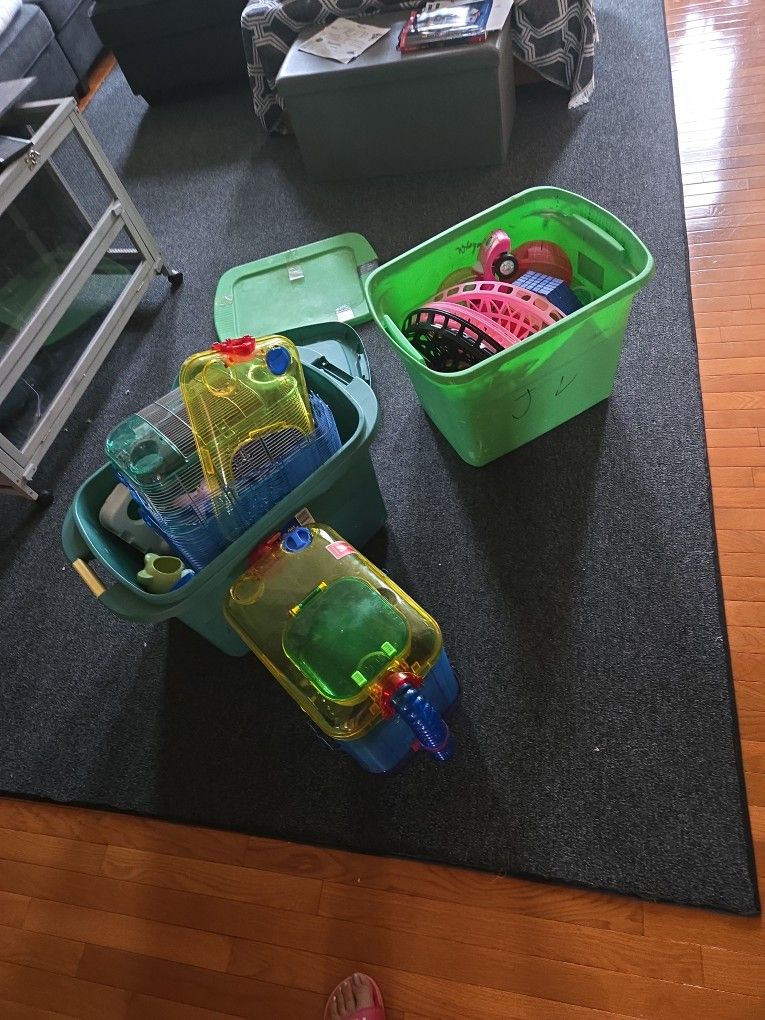 Hamster Stuff