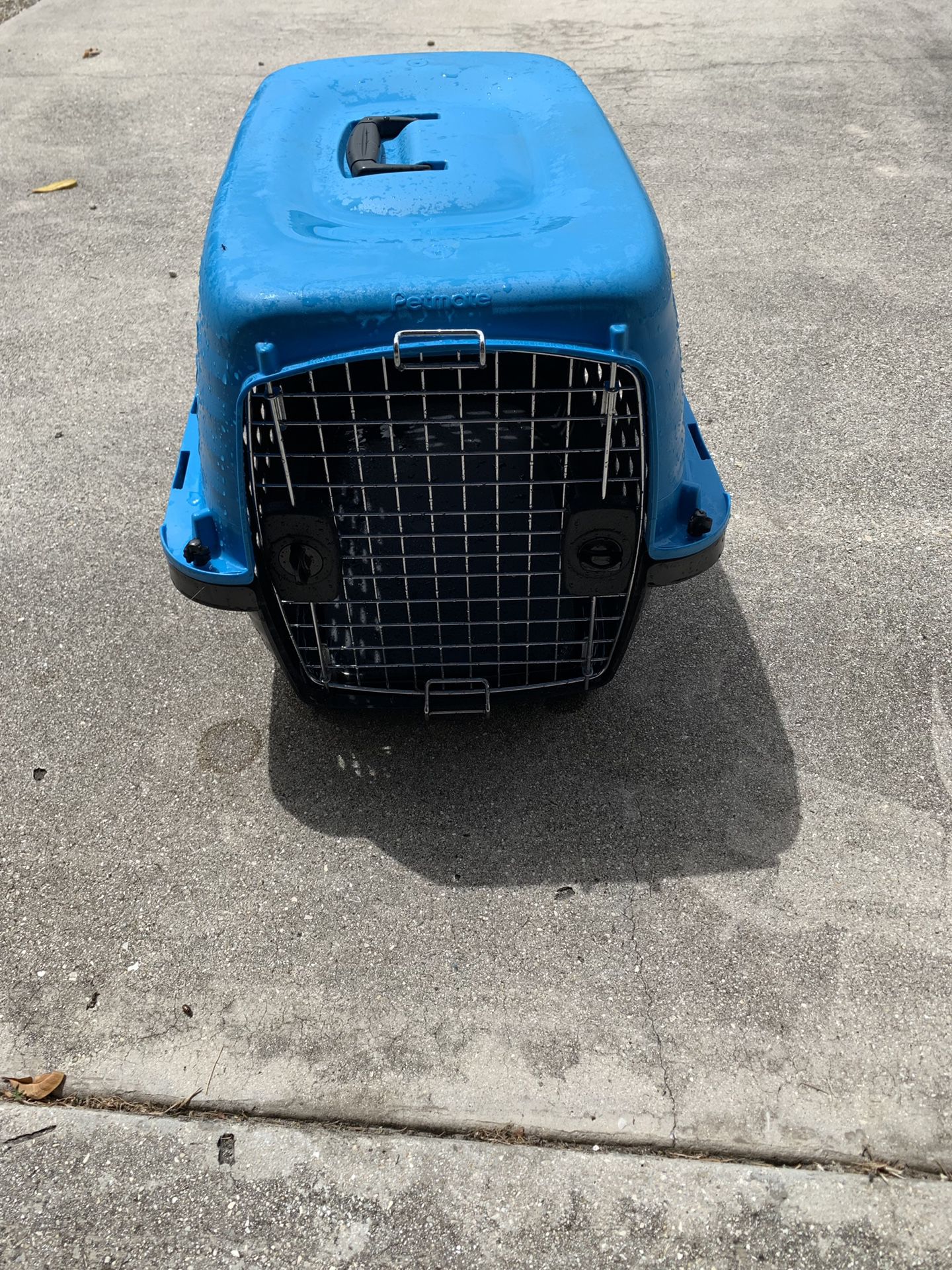 Cat / Dog carrier