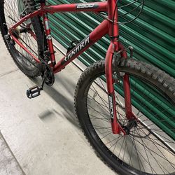 Mountain Bike (Fat Tires)