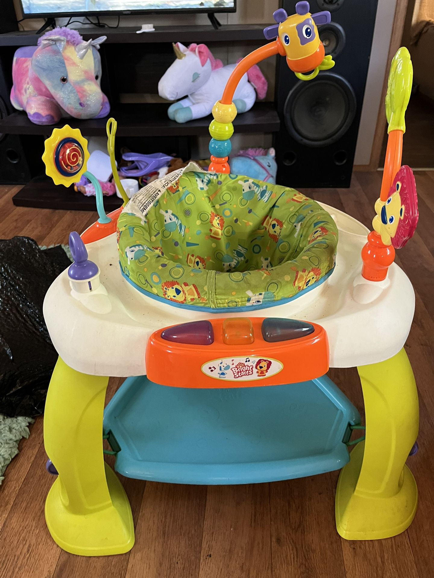 Baby Play Thing 