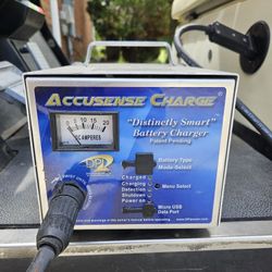 Battery Charger Golf cart 