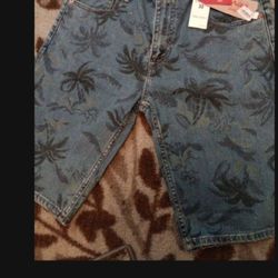 Mens shorts. Levi's.  New. Waist 33g