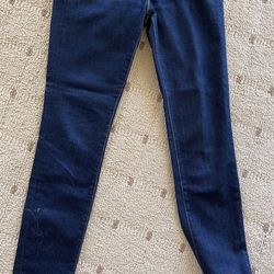 J Brand Lady’s Ink Skinny Blue Jean’s
