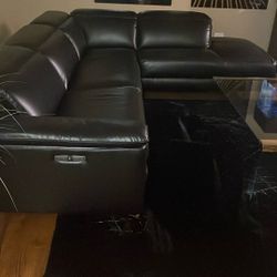 Sectional leather couch 