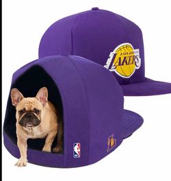 Lakers hat dog house