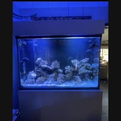 120gl Reef Tank