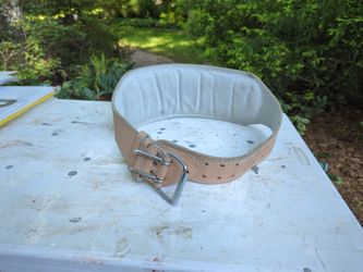Weight Belt, Size  L