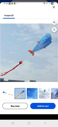 Giant boneless kite