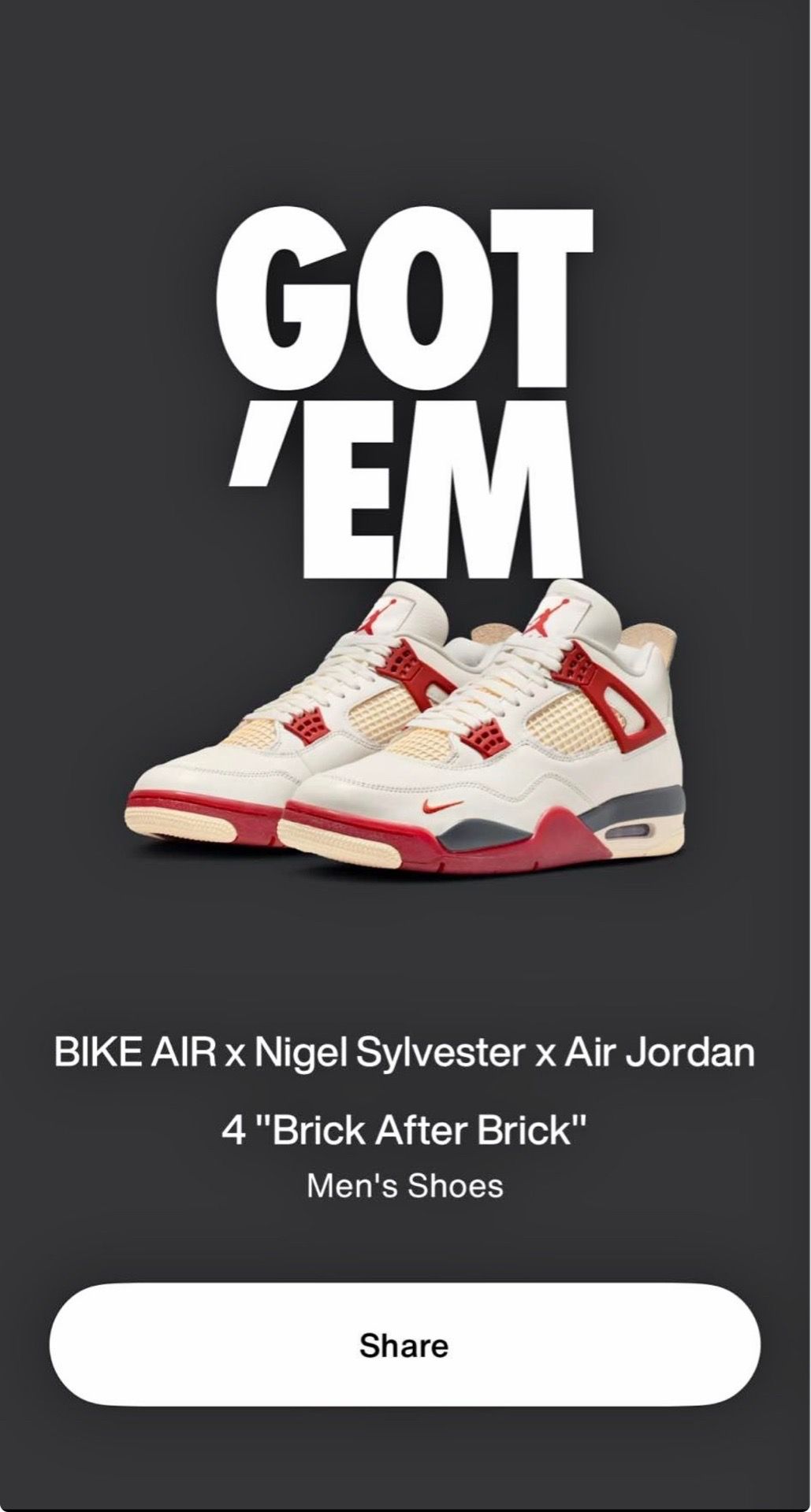 Nike Air Jordan 4 Nigel Sylvester size 9