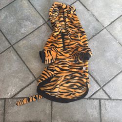 Tiger halloween dog costume 