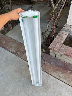 LED Shop Light