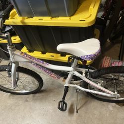 Giant Aluxx Areva Kids Bike
