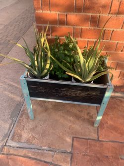 Red Brick And Wooden Box Plants