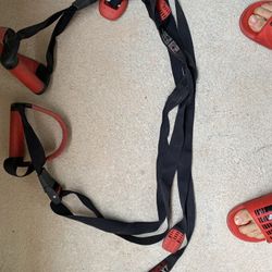 jungle gym xt suspension trainer