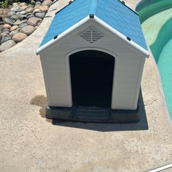 Dog House 