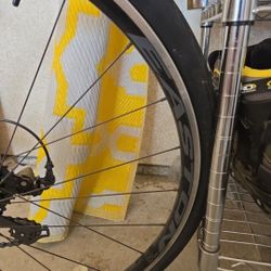 Fuji Road Bike