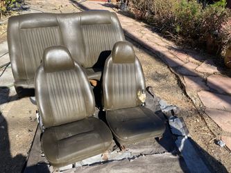 Peanut Corolla Interior