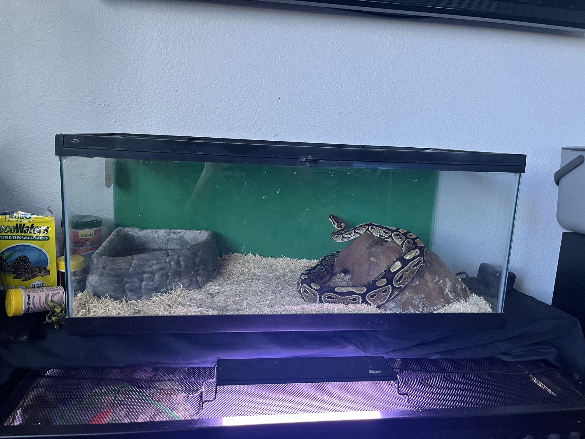 20 Gallon Reptile Tank 