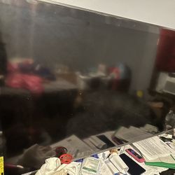 65” Flat Screen TV