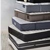 Lifetime Mattresses 