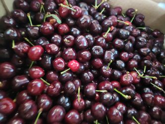 Sweet Cherry 🍒 