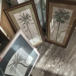 Picture/painting Palm Trees 