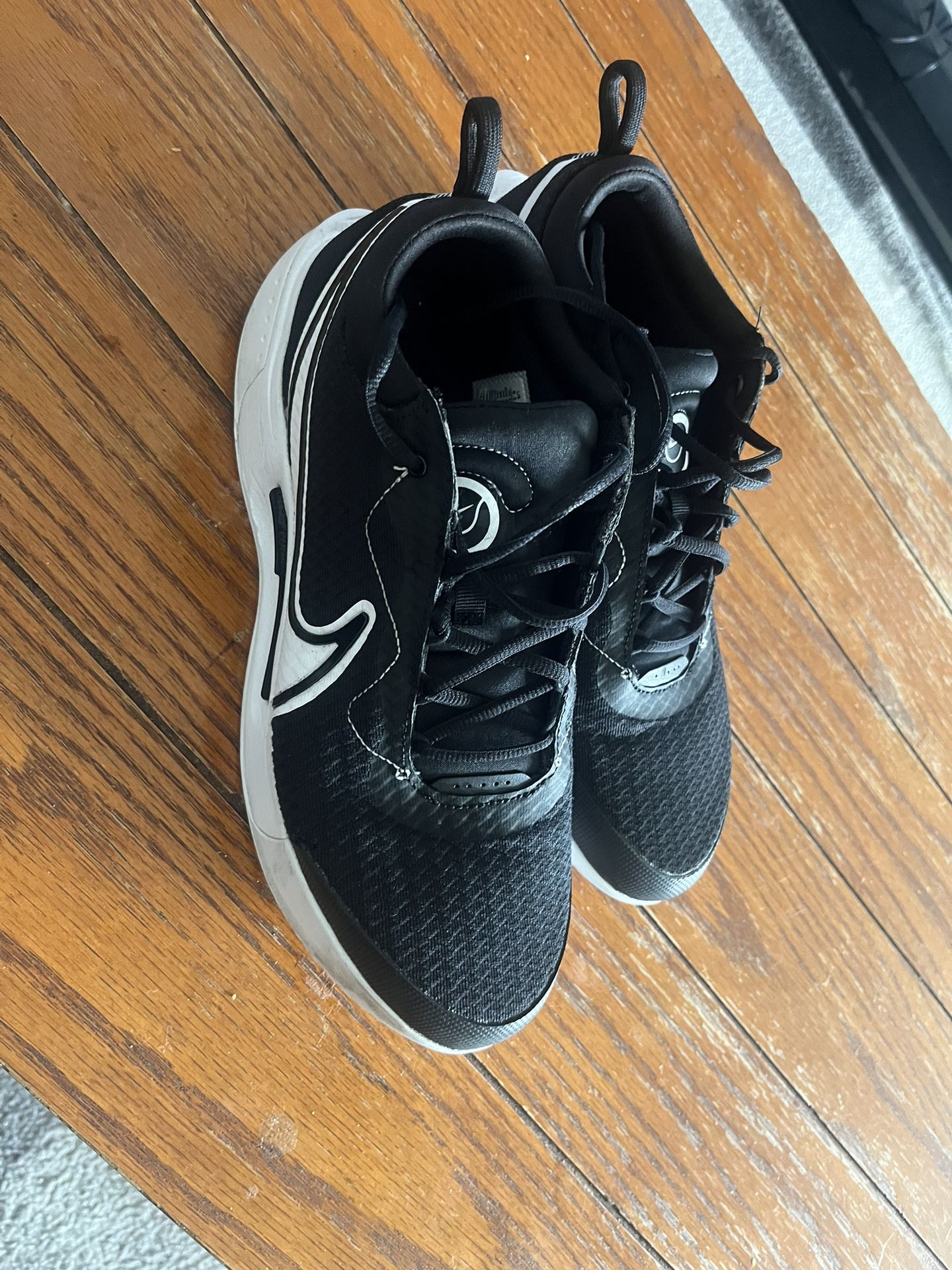Nike Court Zoom Pro 9.5