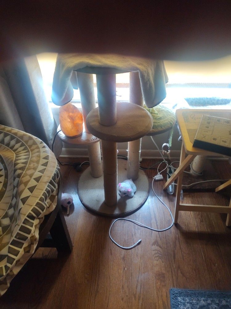 Three Cat Condos Must Take All Three
