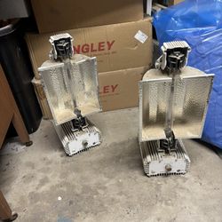 1000 Wat Gardening Lamps