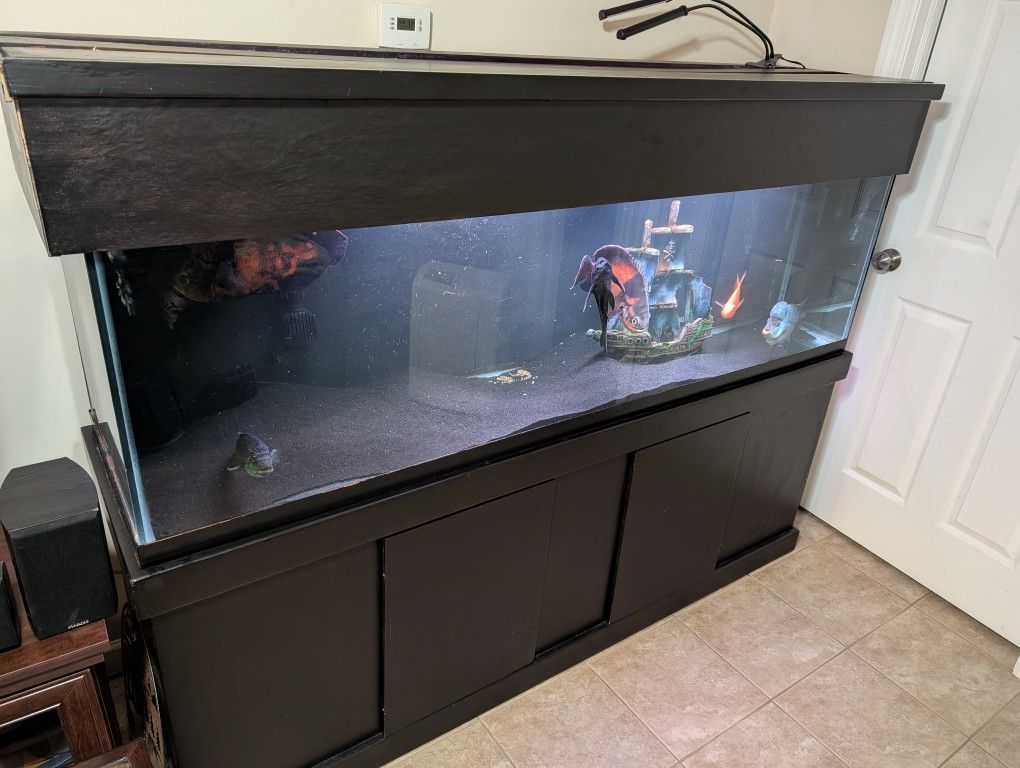 Fishtank