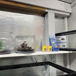 Fish Supplies 