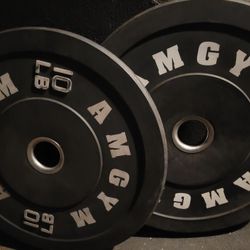 bumper Weights 10lbs