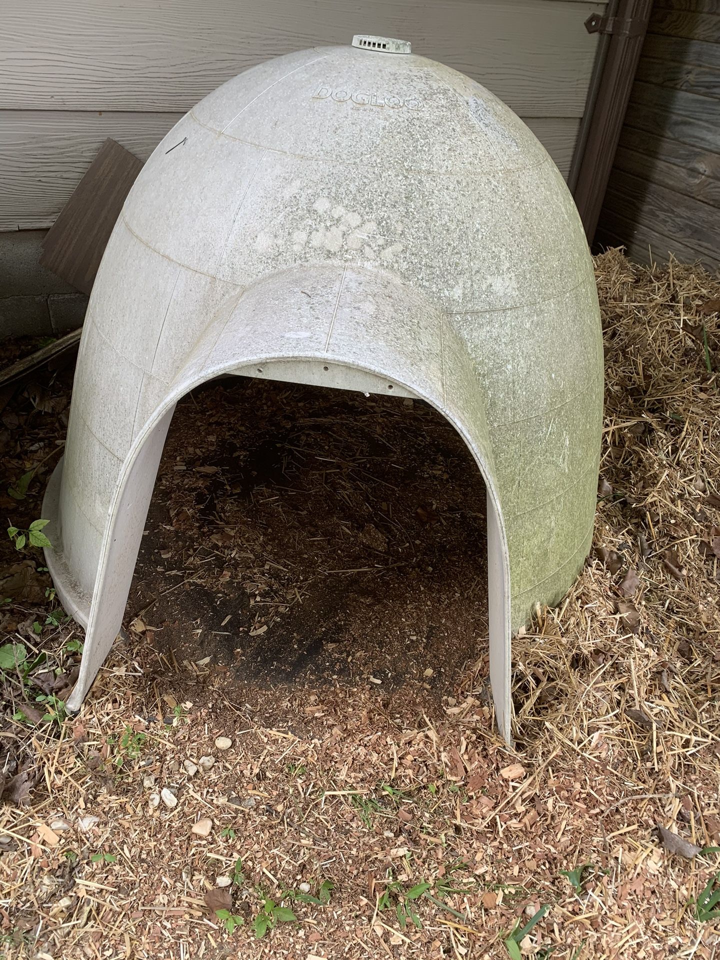 Igloo Dog House