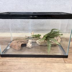 Reptile Terrarium And Accessories 