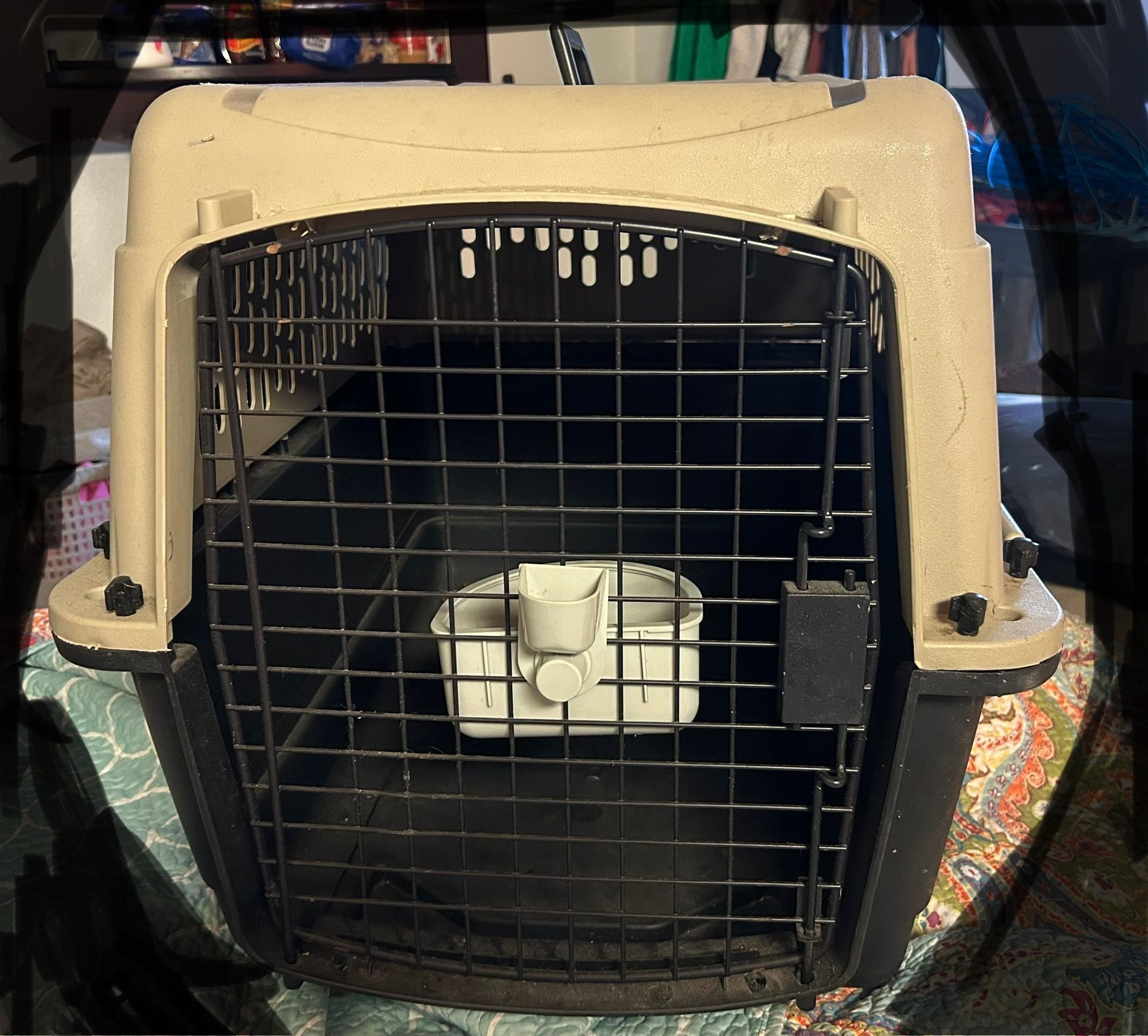 Dog Kennel