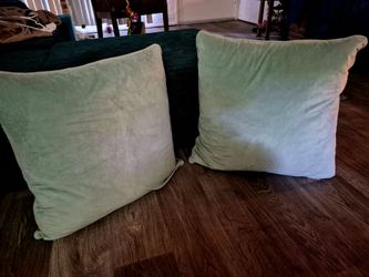 Set of 2 Light Green Velvet Goose Down Extra Large Comfortable Throw Pillows By "LILLIAN AUGUST HOME!"