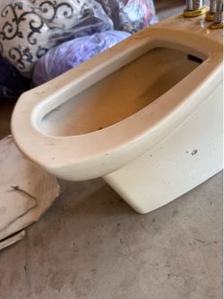 Bidet toilet