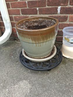 Beautiful Glass Flower Pot