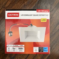 Ostwin Led Disk Light 