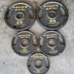 Gold gym weight plates  25.10.5