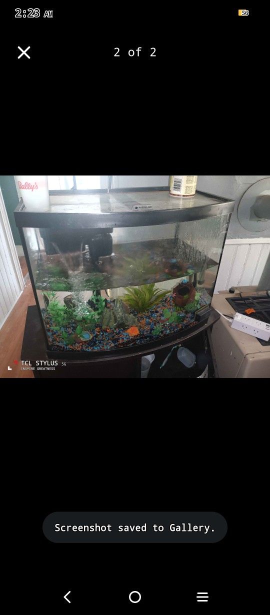 35 Gallon Bowfront