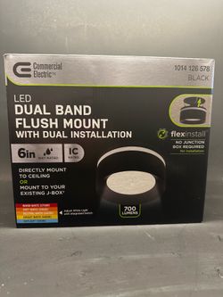 Commercial electric dual flush mount