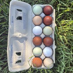 Organic eggs for sale