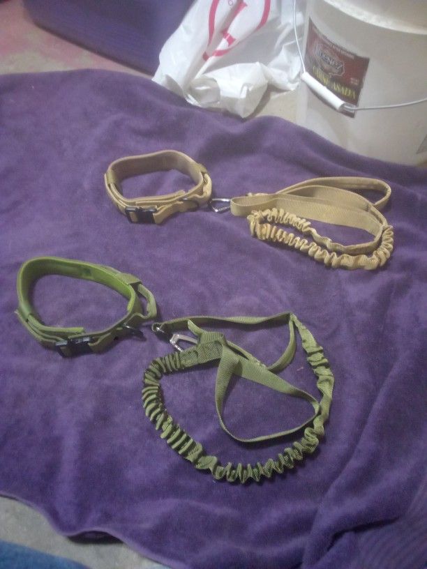 Dog Collar And Leash Size Medium