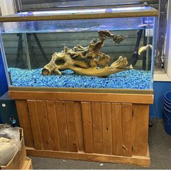 120 Gallon Oceans Aquarium Fish Tank Complete $1000