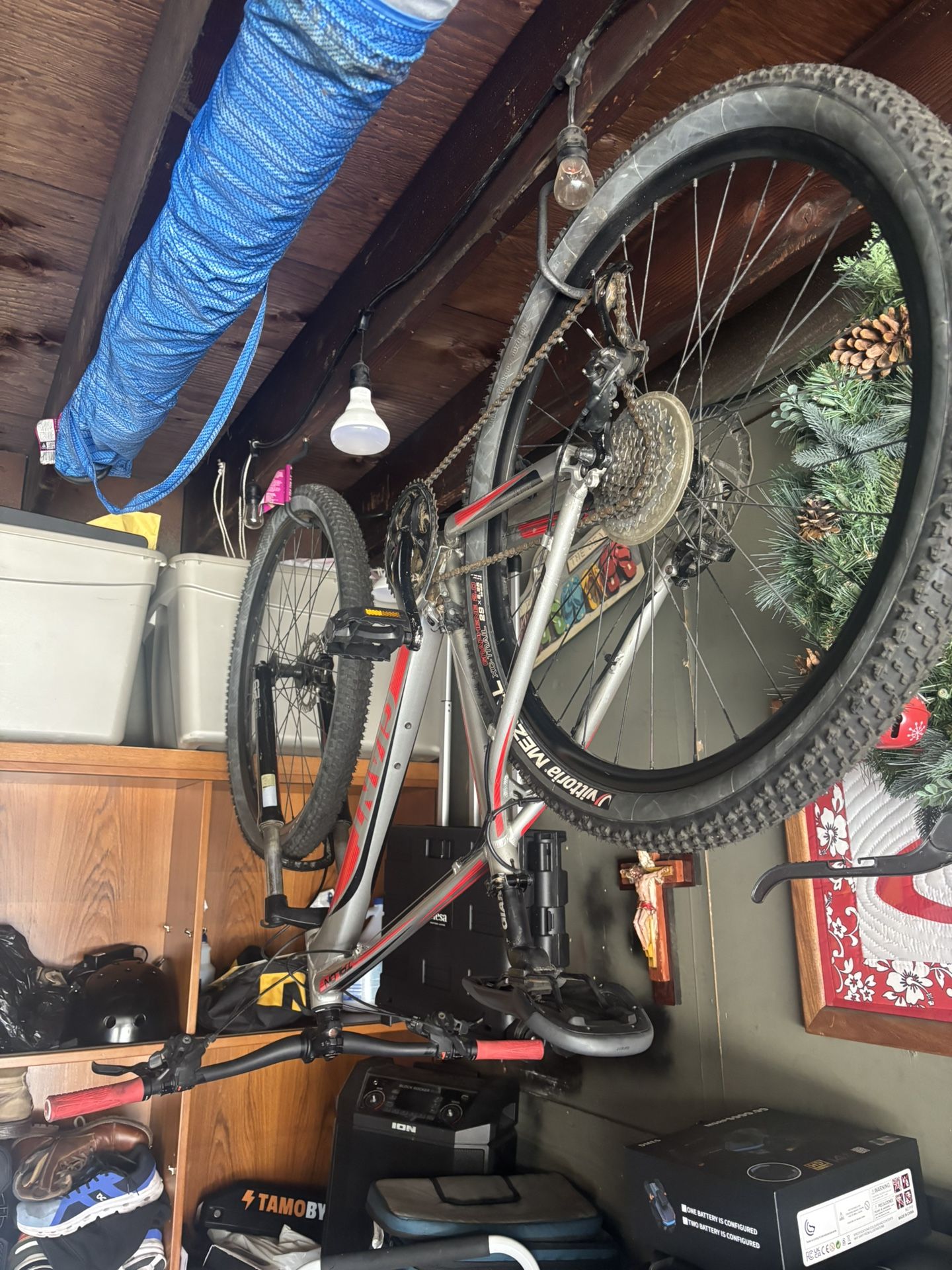 Giant. Bike 29