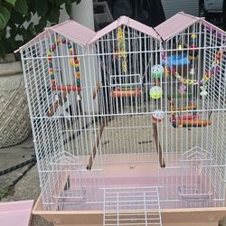 Bird Cage