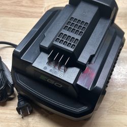 New Ego Charger Ch2100 