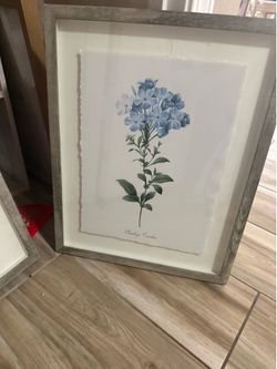 Set of 3 Framed Botanical Floral Prints